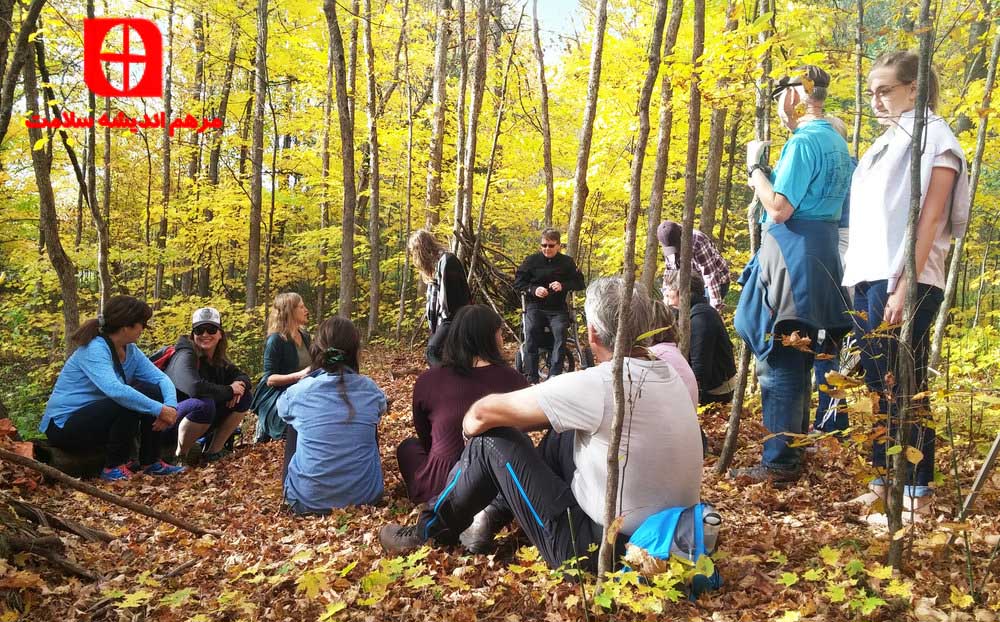 جنگل درمانی چیست؟آشنایی با مزایای طبیعت درمانی بر روی سلامت جسمانی و روانی 